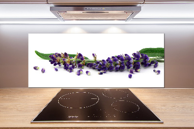 Panel para cocina Lavanda