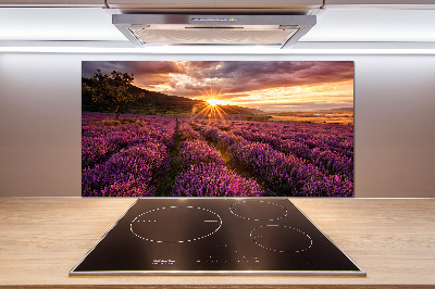 Salpicadero para cocina campo de lavanda