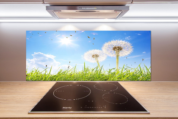 Panel między meble w kuchni Dmuchawce