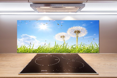 Panel de pared de cocina Dientes de león