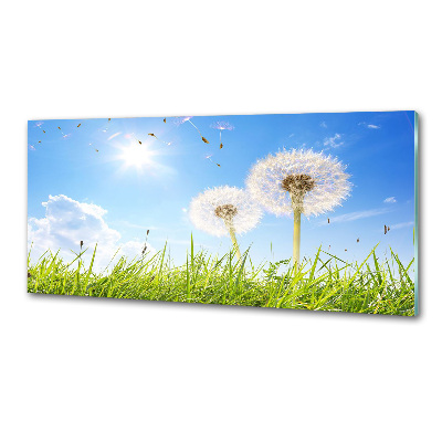 Panel między meble w kuchni Dmuchawce