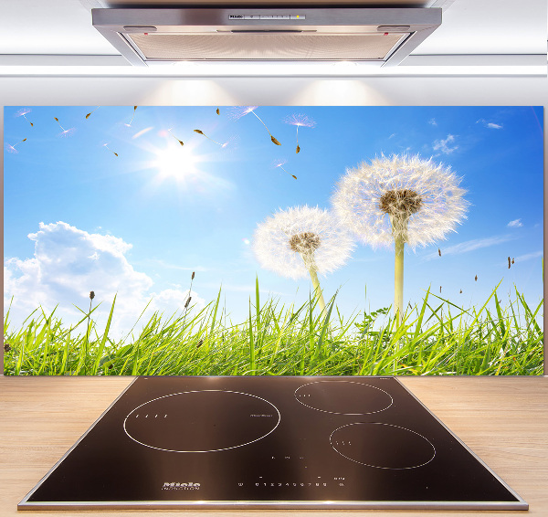 Panel de pared de cocina Dientes de león