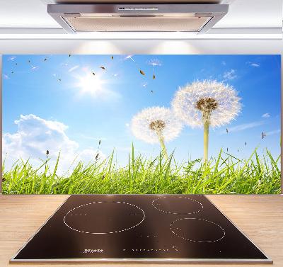 Panel de pared de cocina Dientes de león