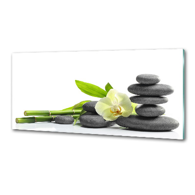 Panel de pared de cocina Orquídea