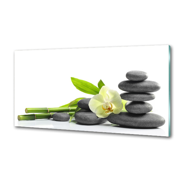 Panel de pared de cocina Orquídea