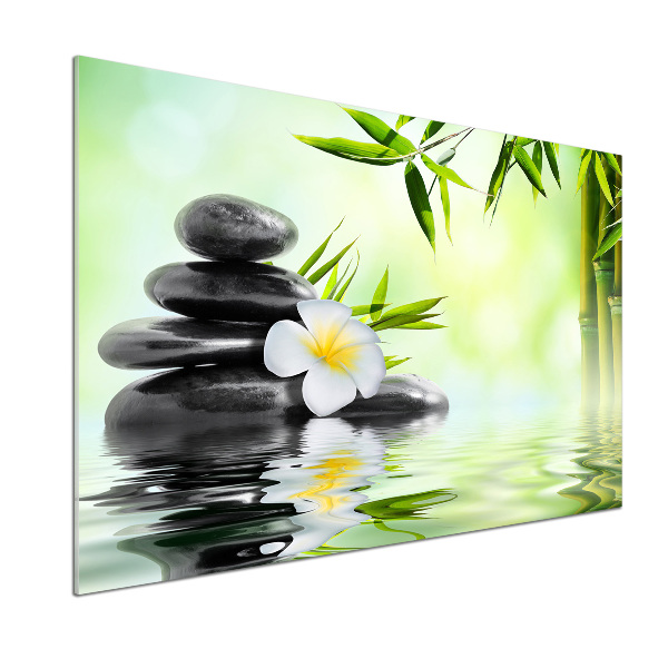 Panel antisalpicaduras Plumeria y bambú