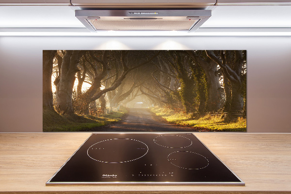 Panel de pared de cocina Niebla en el bosque