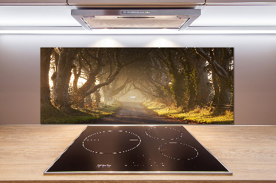 Panel de pared de cocina Niebla en el bosque