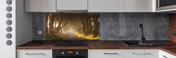 Panel de pared de cocina Niebla en el bosque