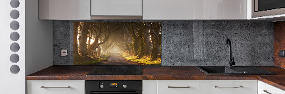 Panel de pared de cocina Niebla en el bosque