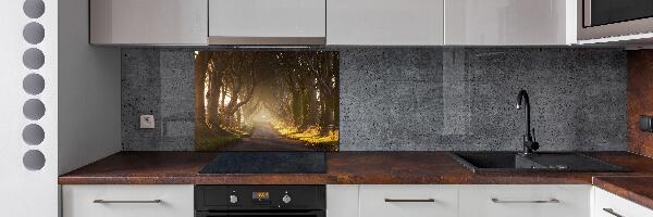 Panel de pared de cocina Niebla en el bosque