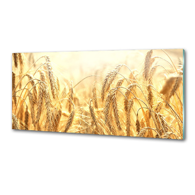 Panel szklany do kuchni Zboże