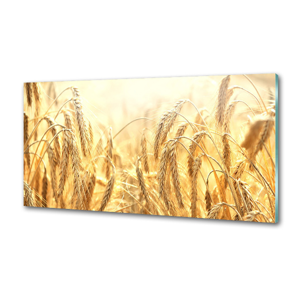 Panel szklany do kuchni Zboże