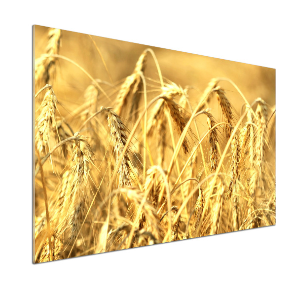 Panel szklany do kuchni Zboże