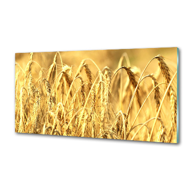 Panel de pared de cocina Cereal