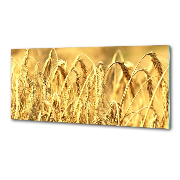 Panel de pared de cocina Cereal