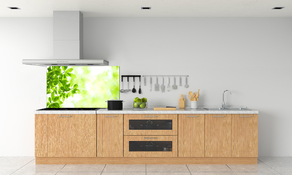 Panel para cocina Hojas