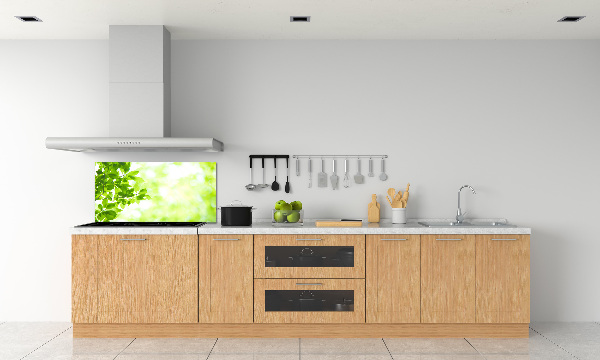 Panel para cocina Hojas