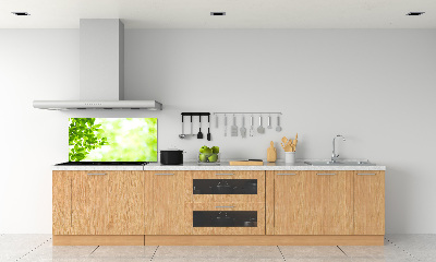 Panel para cocina Hojas