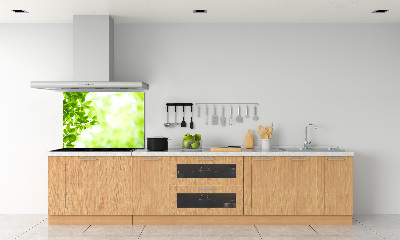 Panel para cocina Hojas