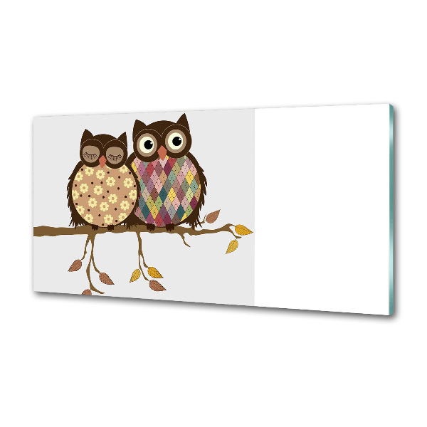 Panel lacobel Dwie sowy na gałęzi