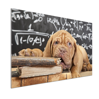 Panel de pared de cocina El perro está mordiendo el libro.