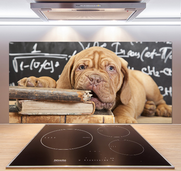 Panel de pared de cocina El perro está mordiendo el libro.