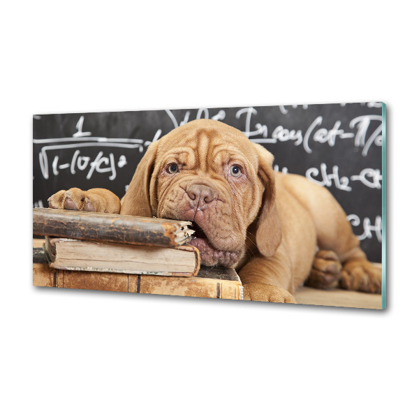 Panel de pared de cocina El perro está mordiendo el libro.