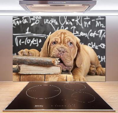 Panel de pared de cocina El perro está mordiendo el libro.