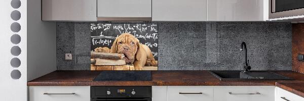 Panel de pared de cocina El perro está mordiendo el libro.