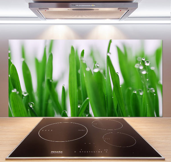 Salpicadero de cocina Briznas de hierba