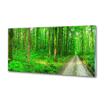 Panel antisalpicaduras Árboles en el bosque