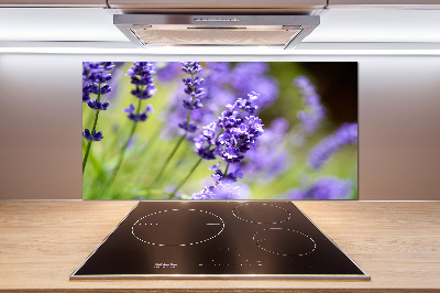 Panel szklany do kuchni Lawenda