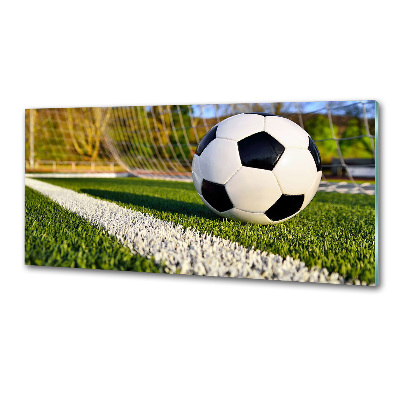 Panel antisalpicaduras El balón está en la portería.