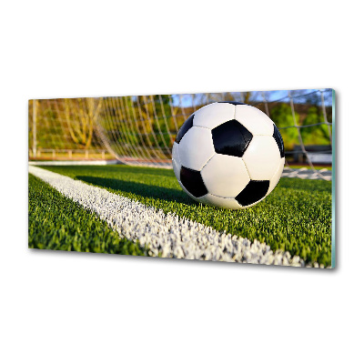 Panel antisalpicaduras El balón está en la portería.