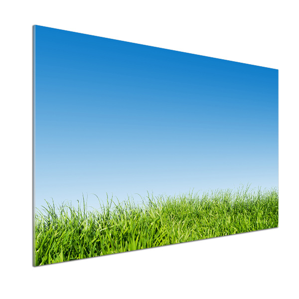 Panel szklany do kuchni Trawa