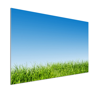 Panel para cocina Césped