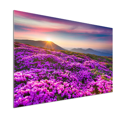 Salpicadero para cocina Flores en las montañas