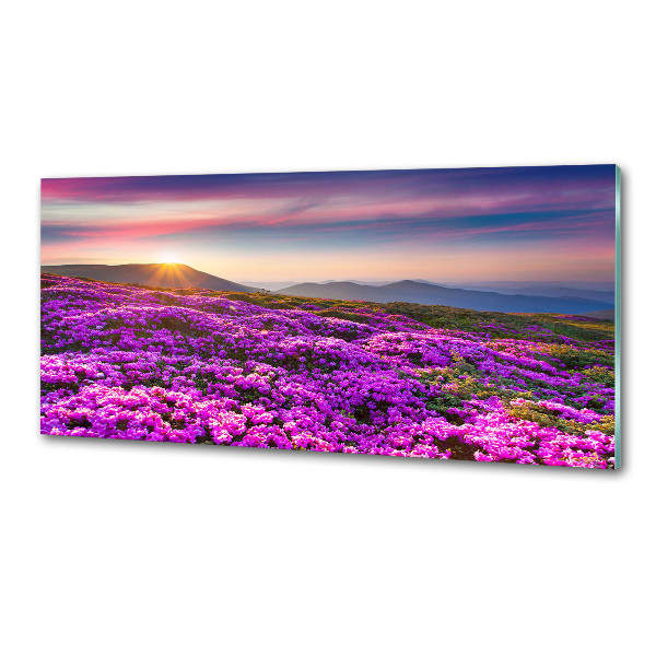 Panel do kuchni Kwiaty w górach