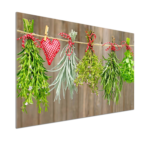 Panel para cocina Hierbas en una cuerda