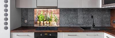 Salpicadero para cocina Hierbas en una cuerda