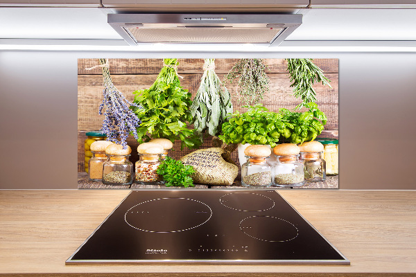 Panel de pared de cocina Hierbas en una cuerda