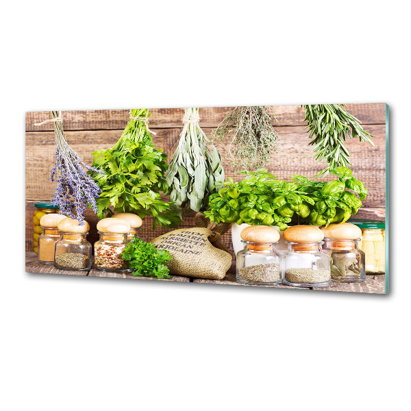 Panel de pared de cocina Hierbas en una cuerda