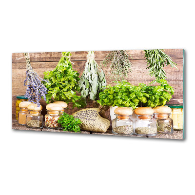 Panel de pared de cocina Hierbas en una cuerda