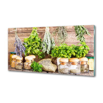 Panel de pared de cocina Hierbas en una cuerda