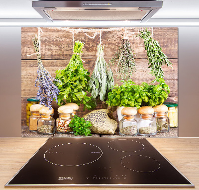 Panel de pared de cocina Hierbas en una cuerda