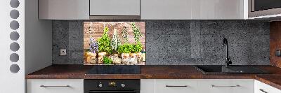 Panel de pared de cocina Hierbas en una cuerda
