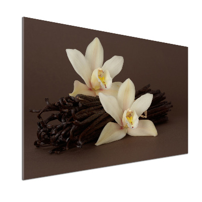 Panel de pared de cocina vainas de vainilla