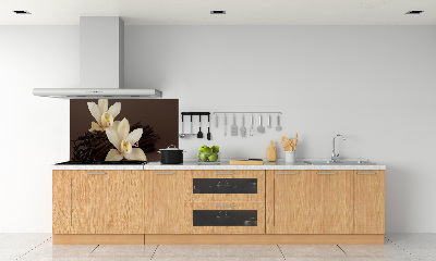 Panel de pared de cocina vainas de vainilla