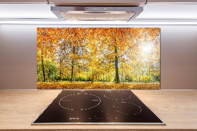 Salpicadero de cocina Bosque en otoño